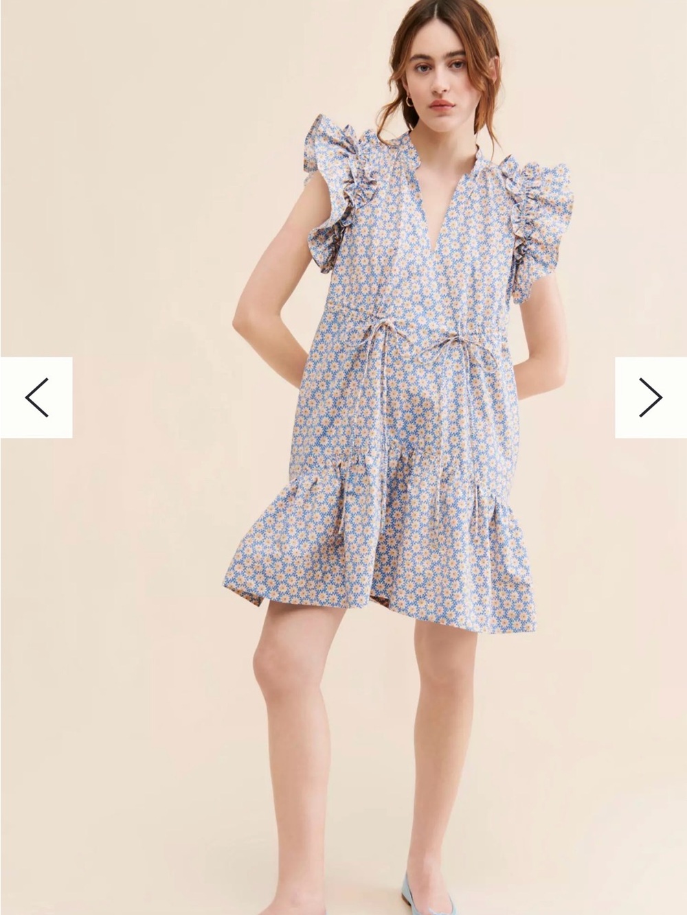 Anthropologie Blue and White Floral Ruffle Mini Dress
